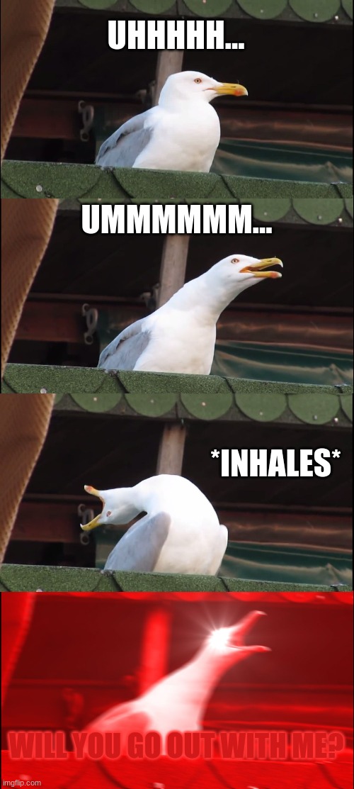 Inhaling Seagull | UHHHHH... UMMMMMM... *INHALES*; WILL YOU GO OUT WITH ME? | image tagged in memes,inhaling seagull | made w/ Imgflip meme maker
