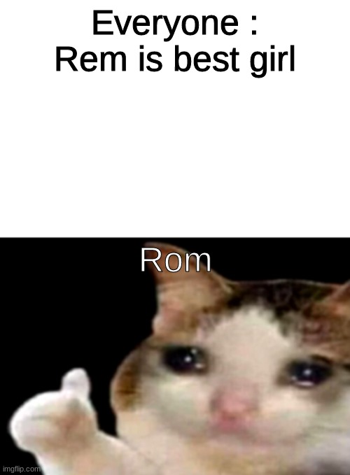 Sad cat thumbs up white spacing | Everyone :
Rem is best girl; Rom | image tagged in sad cat thumbs up white spacing,re zero,animeme,rem and rom | made w/ Imgflip meme maker