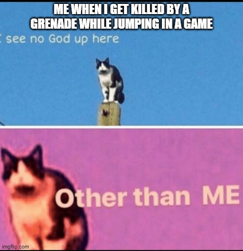 I see no god up here other than me | ME WHEN I GET KILLED BY A GRENADE WHILE JUMPING IN A GAME | image tagged in i see no god up here other than me | made w/ Imgflip meme maker