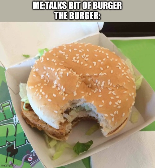 ME:TALKS BIT OF BURGER
THE BURGER: | made w/ Imgflip meme maker