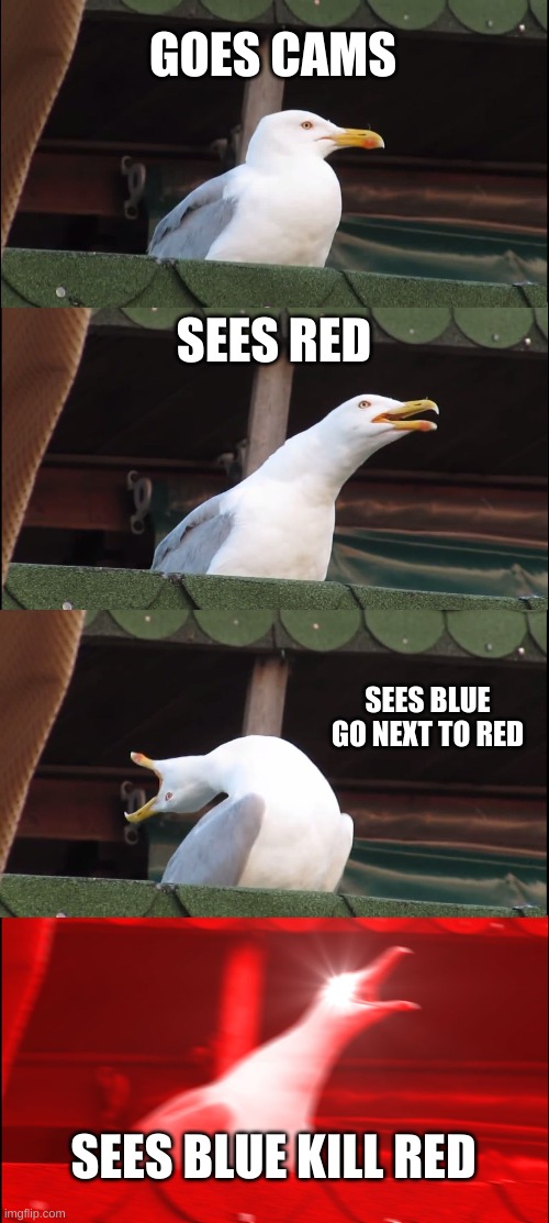 Inhaling Seagull | GOES CAMS; SEES RED; SEES BLUE GO NEXT TO RED; SEES BLUE KILL RED | image tagged in memes,inhaling seagull,funny | made w/ Imgflip meme maker