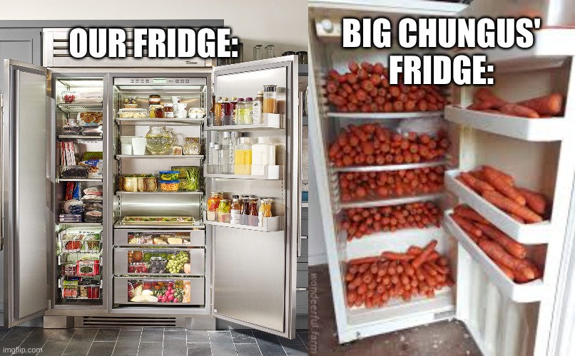 BIG CHUNGUS' FRIDGE:; OUR FRIDGE: | image tagged in carrot fridge | made w/ Imgflip meme maker