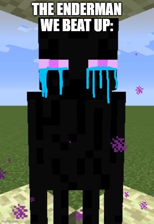 Enderman | THE ENDERMAN WE BEAT UP: | image tagged in enderman | made w/ Imgflip meme maker