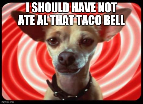 taco bell dog | I SHOULD HAVE NOT ATE AL THAT TACO BELL | image tagged in taco bell dog | made w/ Imgflip meme maker