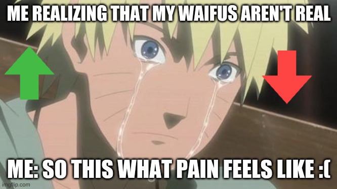 Sad | ME REALIZING THAT MY WAIFUS AREN'T REAL; ME: SO THIS WHAT PAIN FEELS LIKE :( | image tagged in finishing anime | made w/ Imgflip meme maker