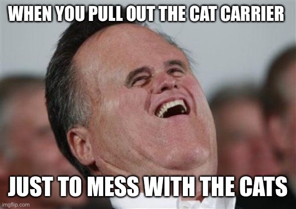Here kitty kitty kitty, why you so stressed | WHEN YOU PULL OUT THE CAT CARRIER; JUST TO MESS WITH THE CATS | image tagged in memes,small face romney | made w/ Imgflip meme maker