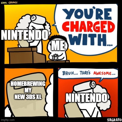 cool crimes | NINTENDO; ME; HOMEBREWING MY NEW 3DS XL; NINTENDO | image tagged in cool crimes | made w/ Imgflip meme maker