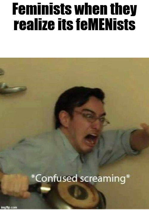 *Confuzzled screaming* | Feminists when they realize its feMENists | image tagged in confused screaming | made w/ Imgflip meme maker