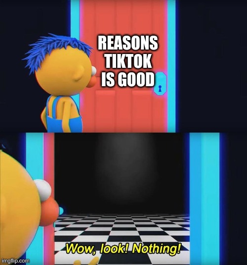 wow look nothing! | REASONS TIKTOK IS GOOD | image tagged in wow look nothing | made w/ Imgflip meme maker
