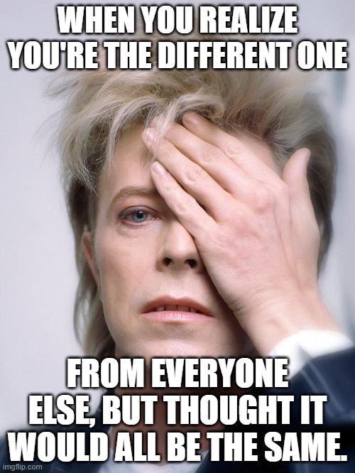 Being Different and Regretting It | WHEN YOU REALIZE YOU'RE THE DIFFERENT ONE; FROM EVERYONE ELSE, BUT THOUGHT IT WOULD ALL BE THE SAME. | image tagged in bowie damn it,regrets | made w/ Imgflip meme maker