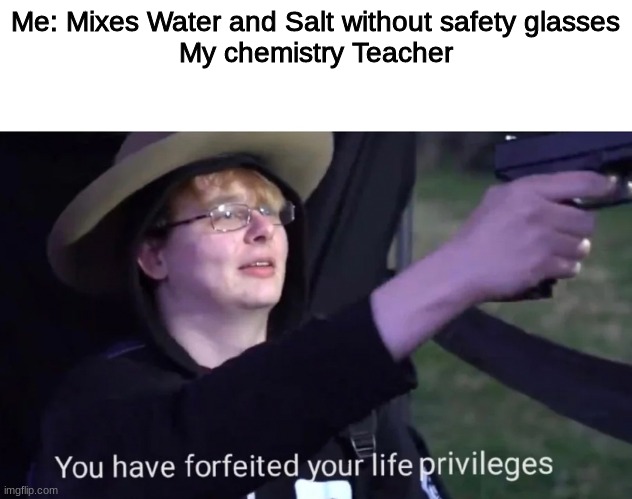 you have forfeited life privileges | Me: Mixes Water and Salt without safety glasses
My chemistry Teacher | image tagged in you have forfeited life privileges | made w/ Imgflip meme maker