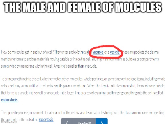 MALE AND FEMQLE | THE MALE AND FEMALE OF MOLCULES | image tagged in homework,omg | made w/ Imgflip meme maker