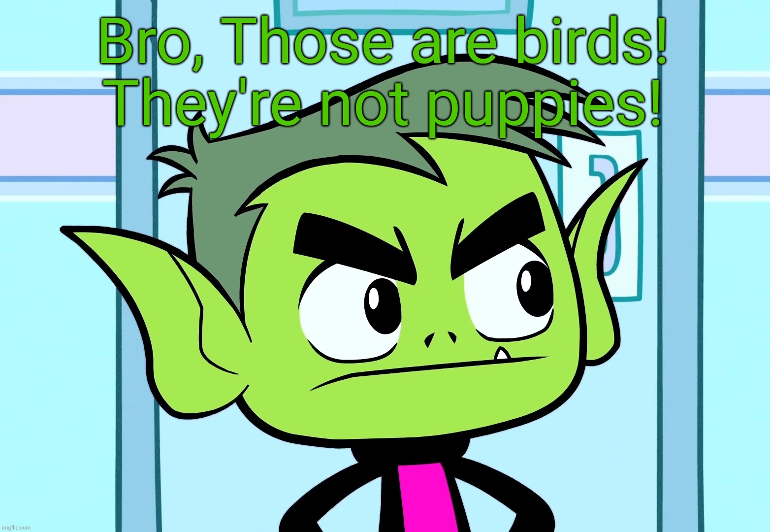 Angry Beast Boy (TTG) | Bro, Those are birds! They're not puppies! | image tagged in angry beast boy ttg | made w/ Imgflip meme maker