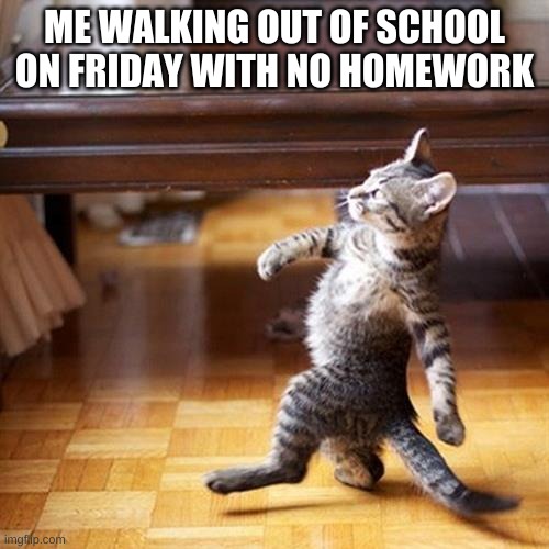 School is pain | ME WALKING OUT OF SCHOOL ON FRIDAY WITH NO HOMEWORK | image tagged in swagger cat | made w/ Imgflip meme maker