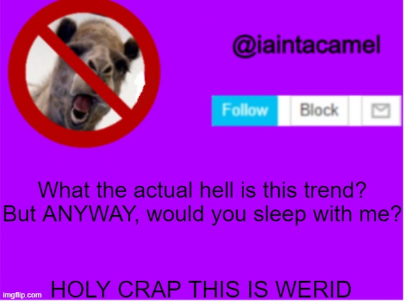 What the actual hell is this trend? But ANYWAY, would you sleep with me? HOLY CRAP THIS IS WERID | image tagged in iaintacamel | made w/ Imgflip meme maker