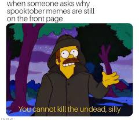 can't | image tagged in you can't fix stupid | made w/ Imgflip meme maker