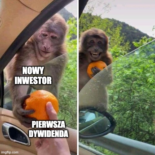 dywidend | NOWY INWESTOR; PIERWSZA DYWIDENDA | image tagged in monkey getting an orange | made w/ Imgflip meme maker