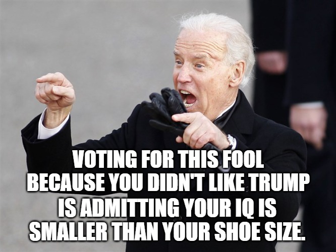 Voting IQ | VOTING FOR THIS FOOL BECAUSE YOU DIDN'T LIKE TRUMP; IS ADMITTING YOUR IQ IS SMALLER THAN YOUR SHOE SIZE. | image tagged in biden,iq,vote,voting,election,president | made w/ Imgflip meme maker