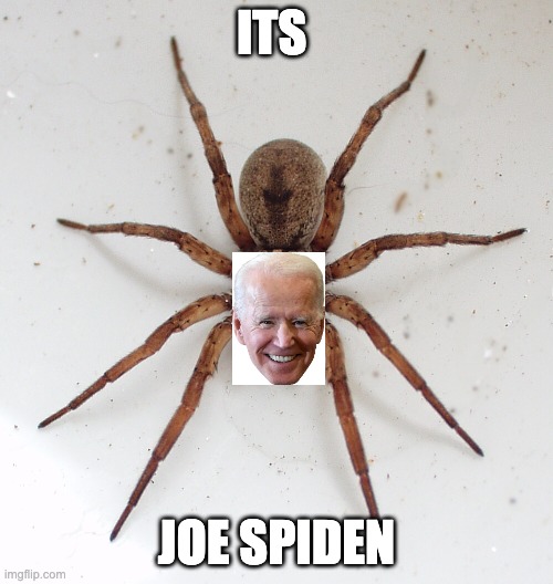  ITS; JOE SPIDEN | image tagged in memes | made w/ Imgflip meme maker