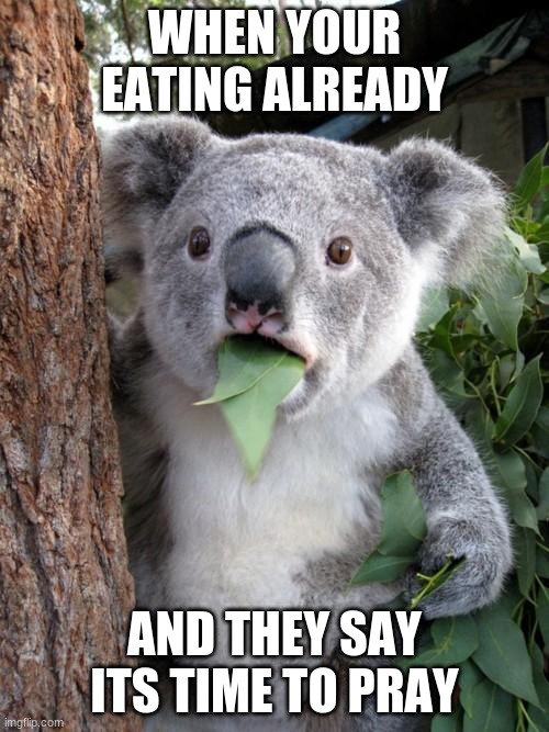 Surprised Koala | WHEN YOUR EATING ALREADY; AND THEY SAY ITS TIME TO PRAY | image tagged in memes,surprised koala | made w/ Imgflip meme maker