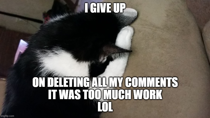 XD, i did delete a ton tho, and lost lots of p o i n t s lmao | I GIVE UP; ON DELETING ALL MY COMMENTS
IT WAS TOO MUCH WORK
LOL | image tagged in i give up cat | made w/ Imgflip meme maker
