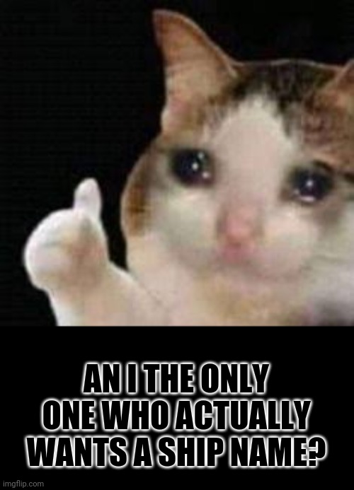 Approved crying cat | AN I THE ONLY ONE WHO ACTUALLY WANTS A SHIP NAME? | image tagged in approved crying cat | made w/ Imgflip meme maker