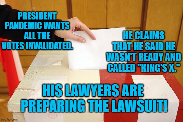 The Adults Need To Take Control. | PRESIDENT PANDEMIC WANTS ALL THE VOTES INVALIDATED. HE CLAIMS THAT HE SAID HE WASN'T READY AND CALLED "KING'S X."; HIS LAWYERS ARE
 PREPARING THE LAWSUIT! | image tagged in politics | made w/ Imgflip meme maker