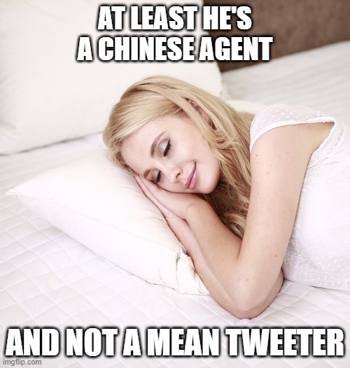 Mean Tweeter | AT LEAST HE'S A CHINESE AGENT; AND NOT A MEAN TWEETER | image tagged in sleeping woman,joe biden,donald trump,2020 elections,corruption,china | made w/ Imgflip meme maker