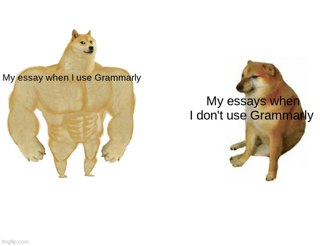 Buff Doge vs. Cheems | My essay when I use Grammarly; My essays when I don't use Grammarly | image tagged in memes,buff doge vs cheems | made w/ Imgflip meme maker