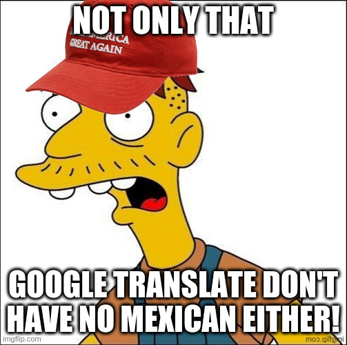 Some Kind Of MAGA Moron | NOT ONLY THAT GOOGLE TRANSLATE DON'T HAVE NO MEXICAN EITHER! | image tagged in some kind of maga moron | made w/ Imgflip meme maker