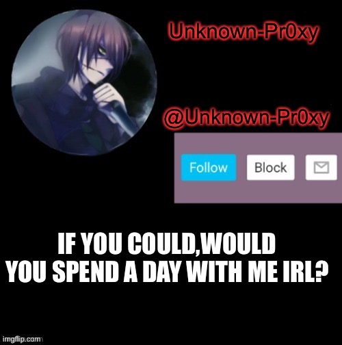 IF YOU COULD,WOULD YOU SPEND A DAY WITH ME IRL? | made w/ Imgflip meme maker