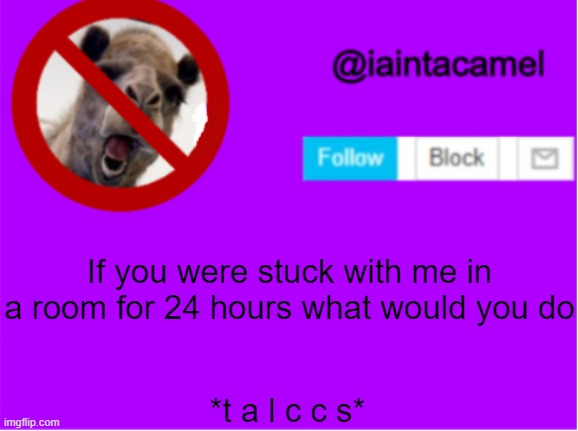 lol idk, twist to the trend | If you were stuck with me in a room for 24 hours what would you do; *t a l c c s* | image tagged in iaintacamel | made w/ Imgflip meme maker