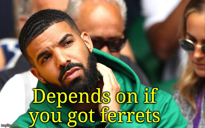 Drake seems okay | Depends on if you got ferrets | image tagged in drake seems okay | made w/ Imgflip meme maker