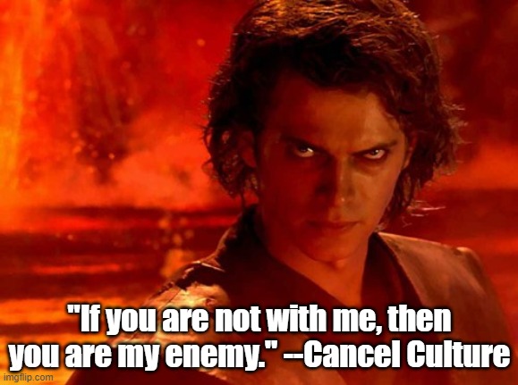 Just sayn' | "If you are not with me, then you are my enemy." --Cancel Culture | image tagged in political meme | made w/ Imgflip meme maker