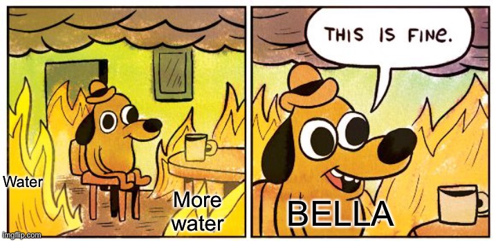 THIS IS NOT FINE | Water; More water; BELLA | image tagged in memes,this is fine | made w/ Imgflip meme maker