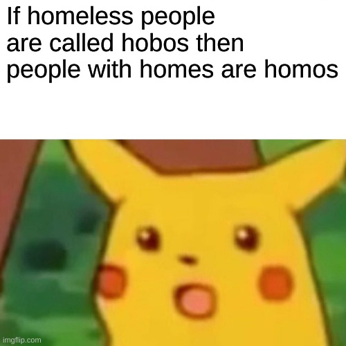 Surprised Pikachu | If homeless people are called hobos then people with homes are homos | image tagged in memes,surprised pikachu | made w/ Imgflip meme maker