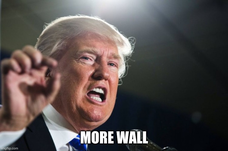 donald trump | MORE WALL | image tagged in donald trump | made w/ Imgflip meme maker