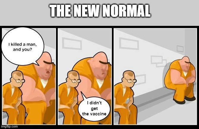 Beware of the 'New Normal' | THE NEW NORMAL; I didn't get the vaccine | image tagged in hierarchy,new normal,covid-19,vaccines,vaccine,anti vax | made w/ Imgflip meme maker