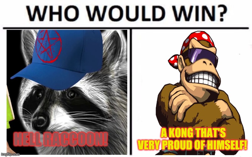 Who Would Win? Meme | HELL RACCOON! A KONG THAT'S VERY PROUD OF HIMSELF! | image tagged in memes,who would win | made w/ Imgflip meme maker