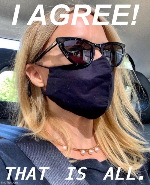 Stahp virtue signaling u r in a car by urself | I AGREE! THAT IS ALL. | image tagged in kylie mask,face mask,virtue signalling,pandemic | made w/ Imgflip meme maker