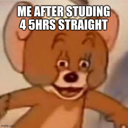 Jerry has too much weed | ME AFTER STUDING 4 5HRS STRAIGHT | image tagged in jerry has too much weed | made w/ Imgflip meme maker