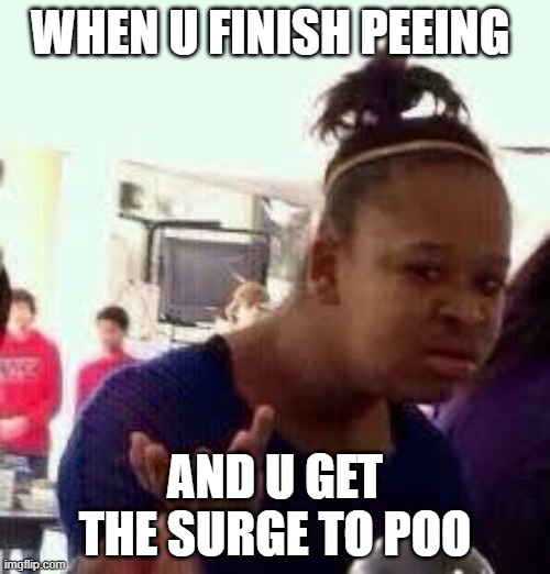 BRUH | WHEN U FINISH PEEING; AND U GET THE SURGE TO POO | image tagged in bruh | made w/ Imgflip meme maker