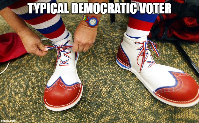 Clown shoes | TYPICAL DEMOCRATIC VOTER | image tagged in clown shoes | made w/ Imgflip meme maker