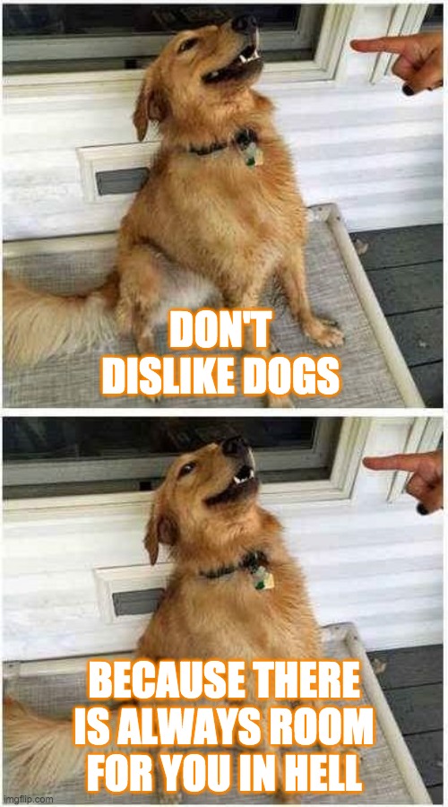 BE NICE TO DOGGOS | DON'T DISLIKE DOGS; BECAUSE THERE IS ALWAYS ROOM FOR YOU IN HELL | image tagged in dog camera smile | made w/ Imgflip meme maker