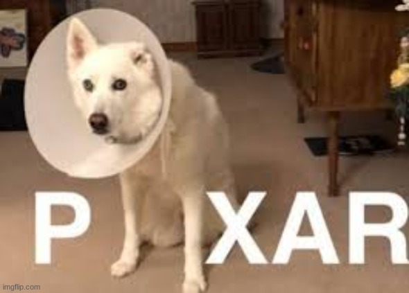 lol | image tagged in memes,dogs,funny | made w/ Imgflip meme maker