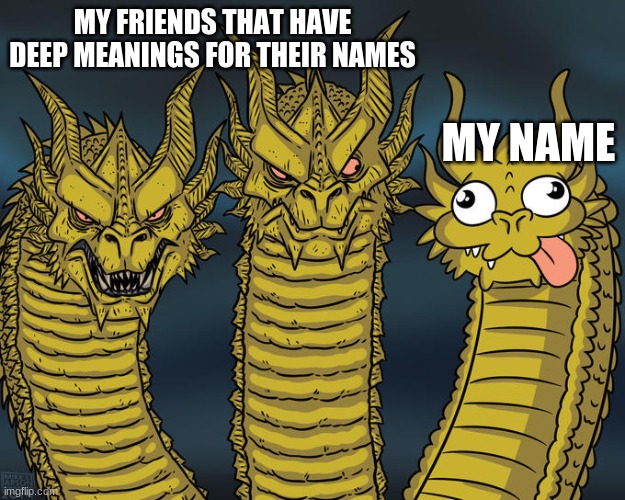 My name vs my friend's name | MY FRIENDS THAT HAVE DEEP MEANINGS FOR THEIR NAMES; MY NAME | image tagged in three-headed dragon | made w/ Imgflip meme maker