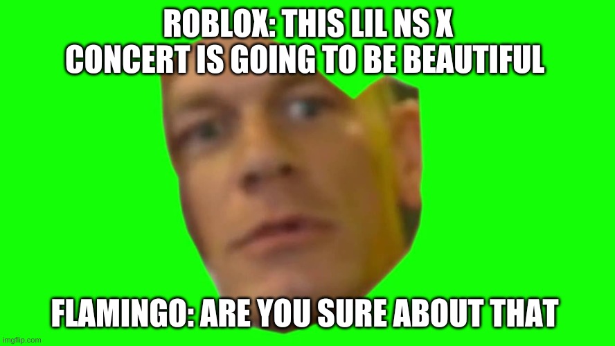 true lol | ROBLOX: THIS LIL NS X CONCERT IS GOING TO BE BEAUTIFUL; FLAMINGO: ARE YOU SURE ABOUT THAT | image tagged in are you sure about that cena | made w/ Imgflip meme maker