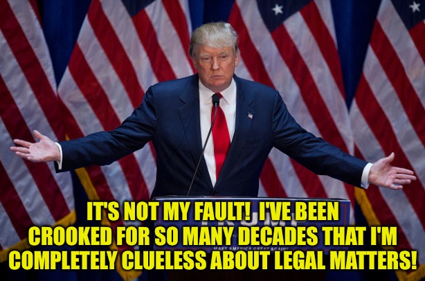 Donald Trump | IT'S NOT MY FAULT!  I'VE BEEN CROOKED FOR SO MANY DECADES THAT I'M COMPLETELY CLUELESS ABOUT LEGAL MATTERS! | image tagged in donald trump | made w/ Imgflip meme maker