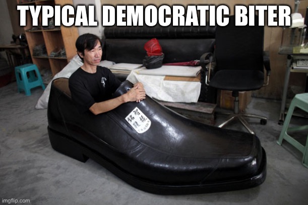 Big Shoes To Fill | TYPICAL DEMOCRATIC VOTER | image tagged in big shoes to fill | made w/ Imgflip meme maker