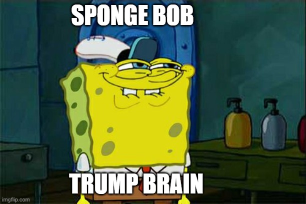 I Am Always A Winner If Only In My Mind | SPONGE BOB; TRUMP BRAIN | image tagged in don't you squidward,covfefe,person woman man camera tv,you are crazy | made w/ Imgflip meme maker